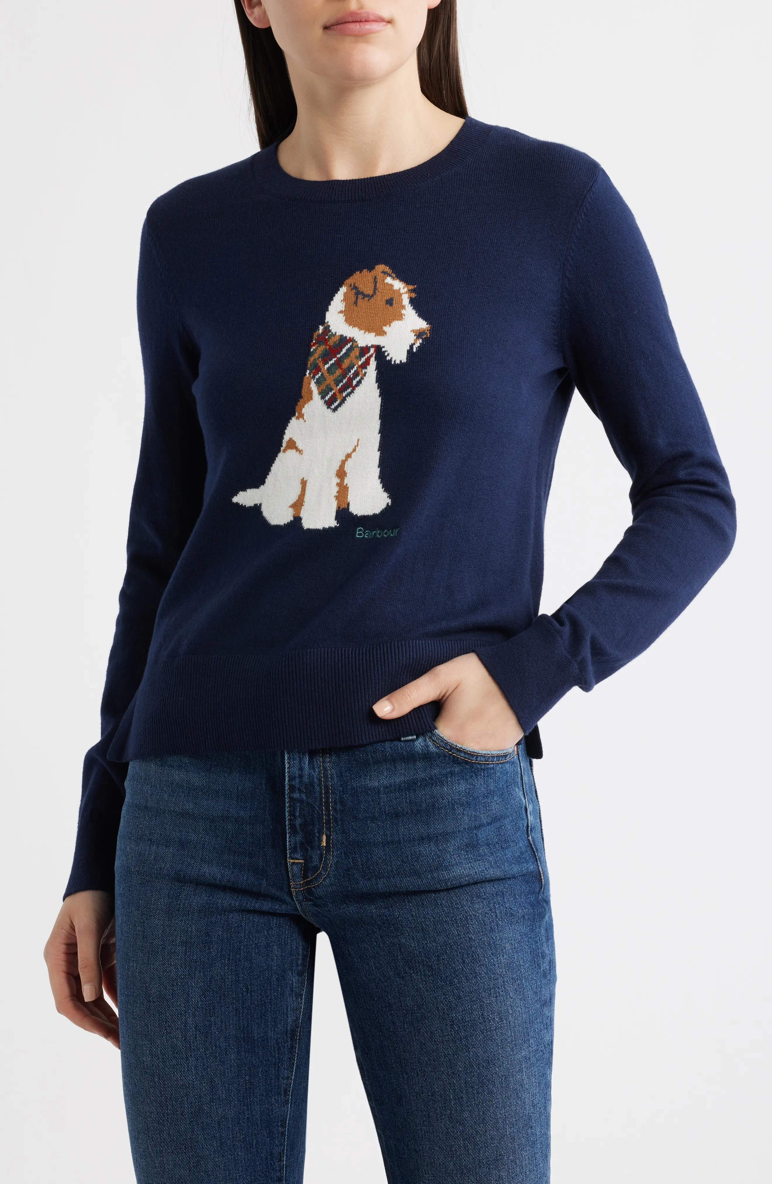 Berkley Intarsia Cotton & Cashmere Sweater (Women) | Nordstrom | Nordstrom