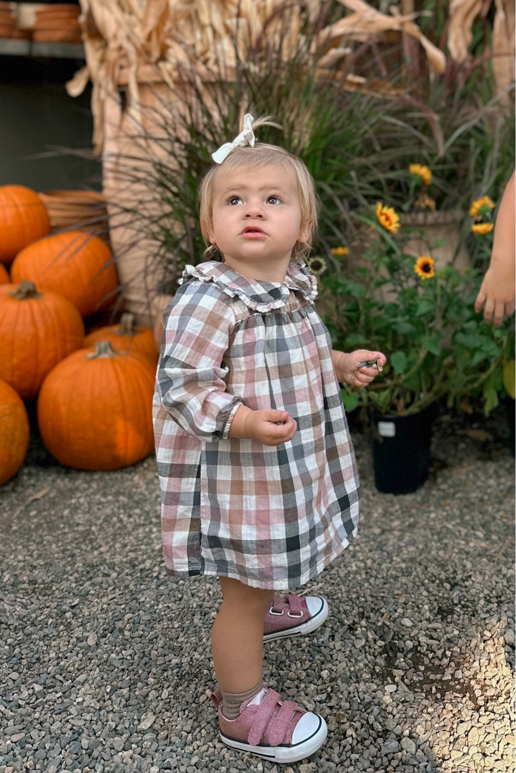The start of fall activities 🎃 
#babyfall #fallgirloutfit #pumpkinpatch

#LTKSeasonal #LTKfamily #LTKbaby