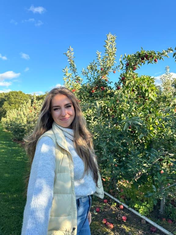 The North Face Women's Hydrenalite Down A-Line Vest | DICK'S Sporting Goods