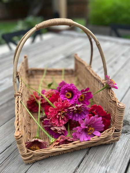 This basket I got from Creative Co-Op is my absolute favorite for harvesting my zinnias!

#LTKSeasonal #LTKhome #LTKfindsunder100