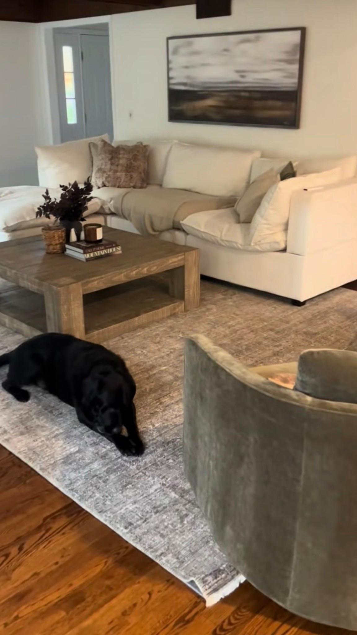 Living room rug #neutral #rug