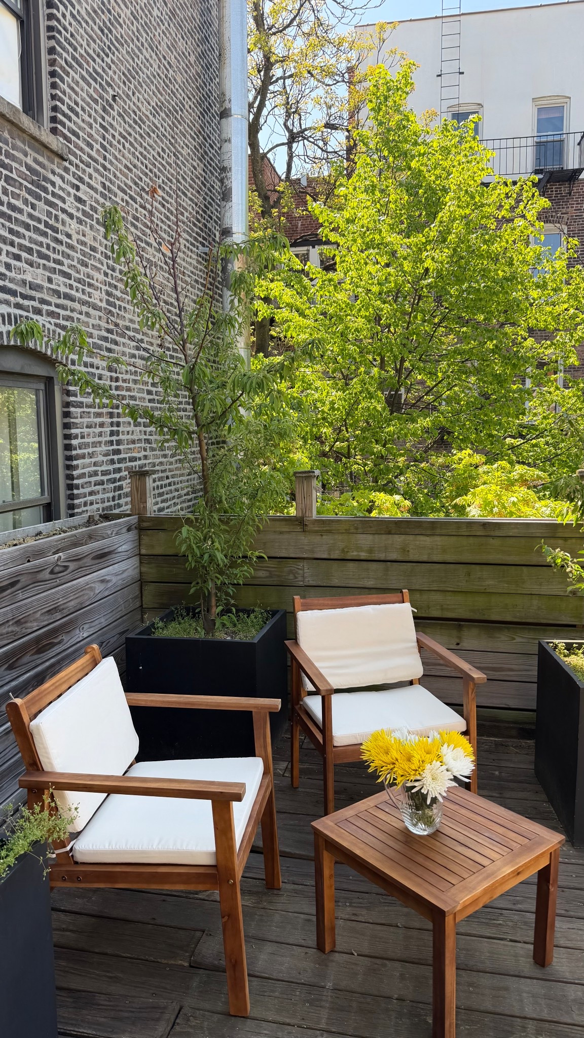 #Ad my new spring setup from @Wayfair  #wishyouwerehere #outdoor #Wayfair #WayfairPartner
