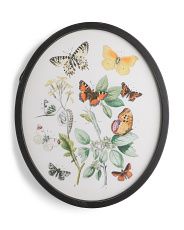 20x24 Oval Butterfly Garden Framed Wall Art | TJ Maxx