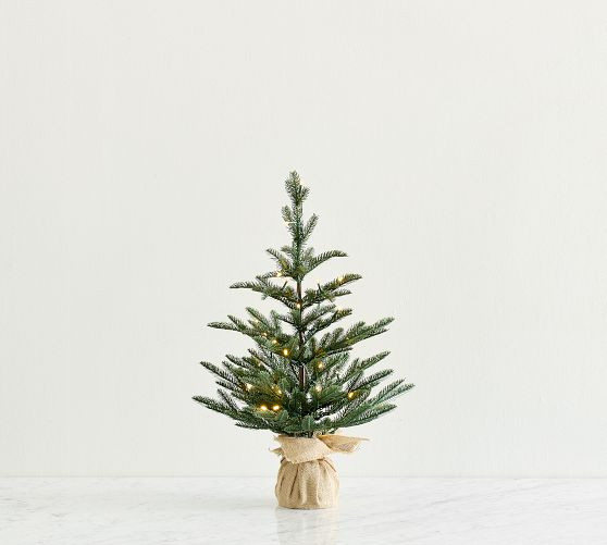 Faux Lit Burlap Potted Pine Tree | Pottery Barn (US)