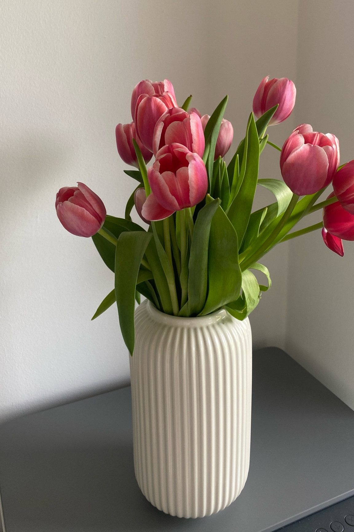 Weiße Vase

#LTKhome