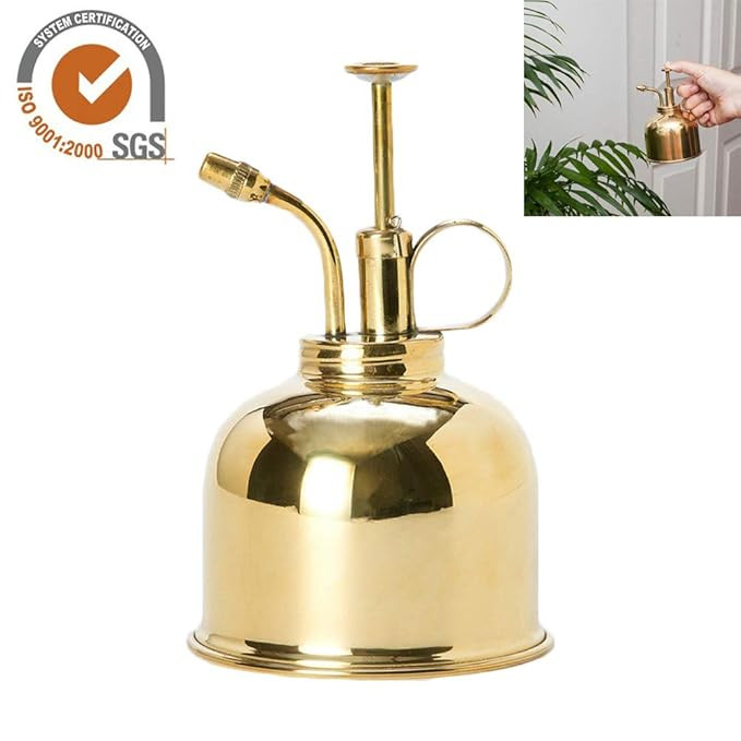 raspbery Gießkanne Gießflasche Duschgießkanne Vintage Messing Sukkulenten Kleine Gold Garten B... | Amazon (DE)