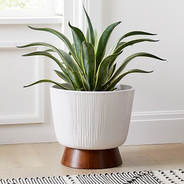 Harley Ceramic Planter | West Elm (US)