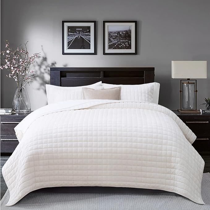 RECYCO Luxury Velvet Quilt Set King Size, Lightweight Velvet Comforter Set, Oversized Bedspread C... | Amazon (US)