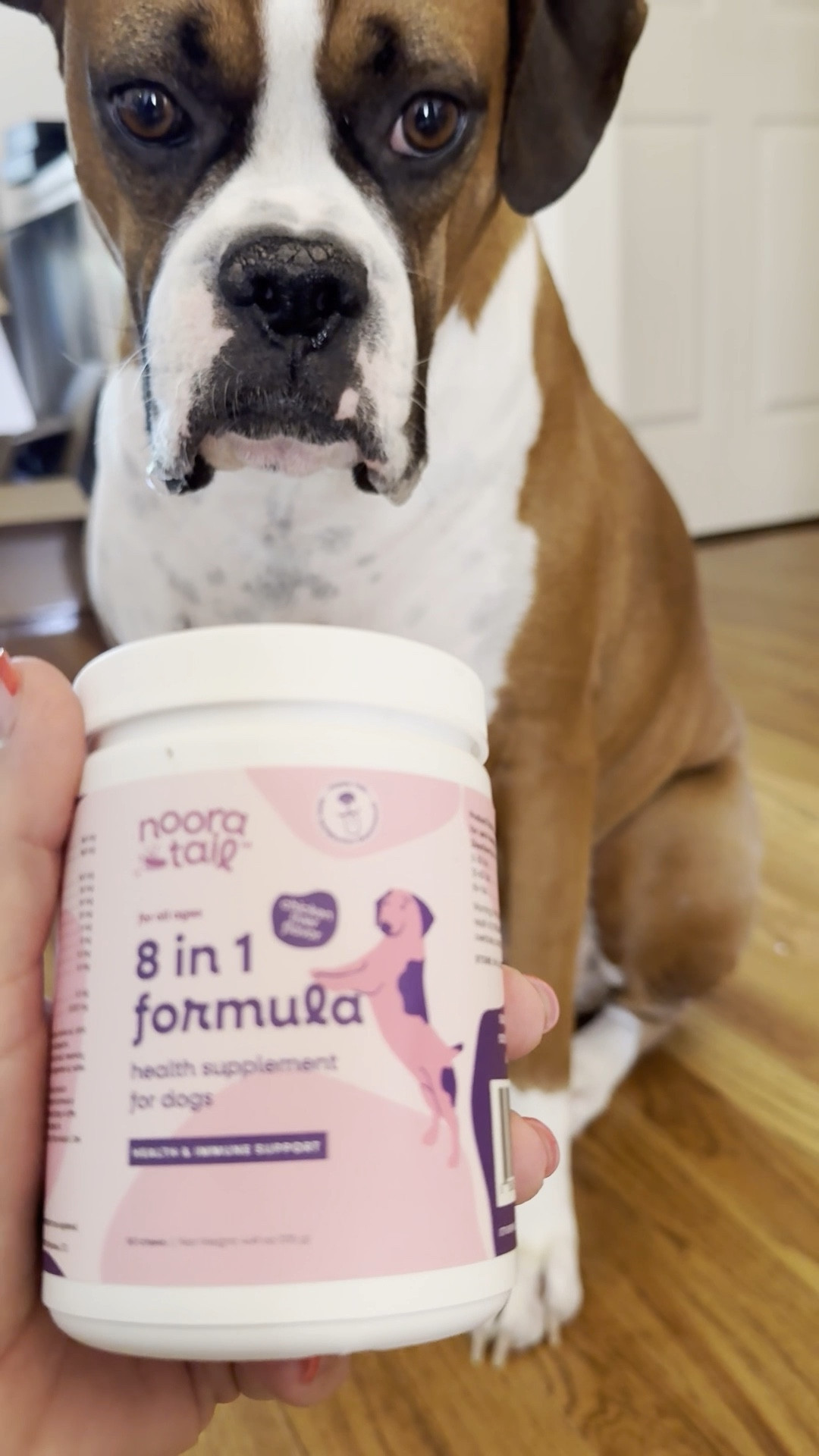 Bruno loves Nooratail’s 8 in 1 Health Supplement! It helps support, joint, muscle, gut, cardiovascular, skin, and his immune system! 

#LTKFamily #LTKFindsUnder50 #LTKPets
