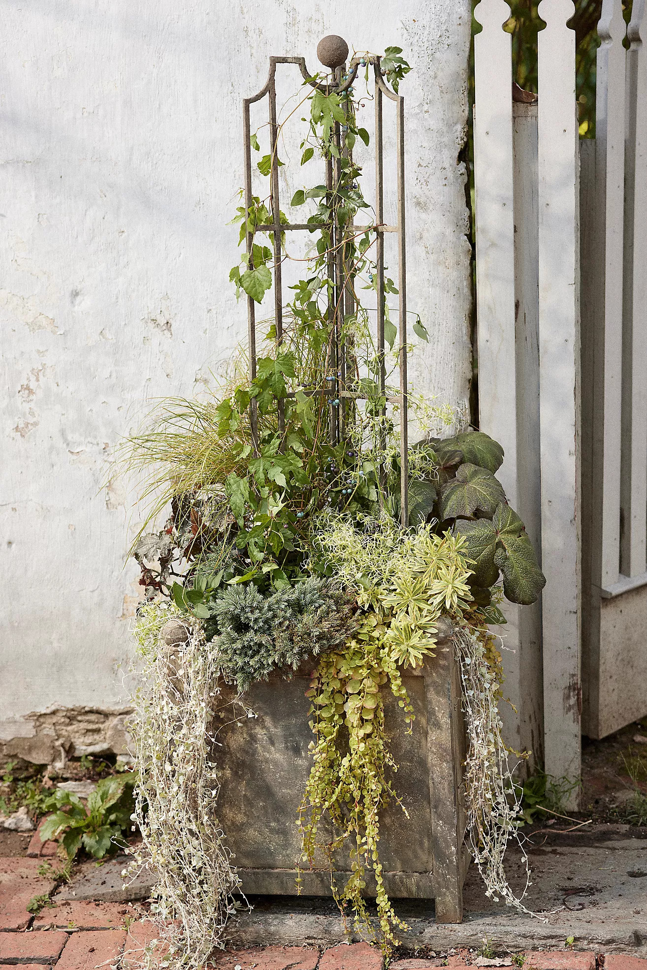 Winged Iron Trellis | Terrain