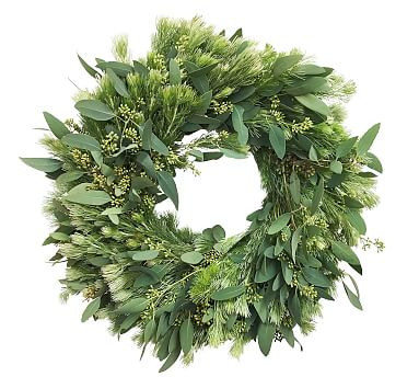 Fresh Woolly Bush and Eucalyptus Wreath | Pottery Barn (US)