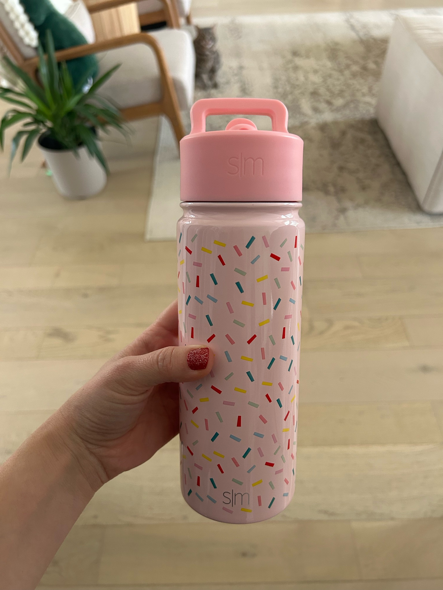 Simple modern water bottle- the only kind I buy for my girls 