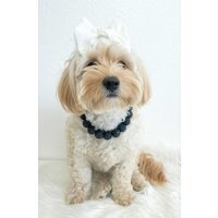 Black Sparkle Trendy Dog Necklace Pet Jewelry Accessories Necklaces For Dogs Beaded Collar Rhinestone Gift Lover | Etsy (US)