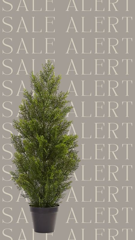 This nearly natural three foot cedar pine tree is on sale for 55% off today! It is marked down to $38. I have owned this for years and love it. Suitable for indoor or outdoor use!

Amazon finds, Amazon home, Amazon home decor, faux plants, faux trees, faux pine plant, outdoor plants, low maintenance plant ideas, cedar pine decor, Amazon plant, holiday decor, mini tree, under $40

#LTKfindsunder50 #LTKsalealert #LTKhome