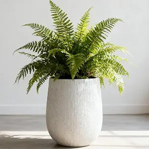 Worth Garden White Large Round Planter, 12.5" Dia x 18.5" H Lightweight Magnesium Oxide Cement Pl... | Amazon (US)