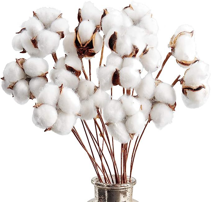 Kraftex Cotton Stems Farmhouse Decorations (20 Pack) Cotton Decor Floral Stems & Artificial Branc... | Amazon (US)