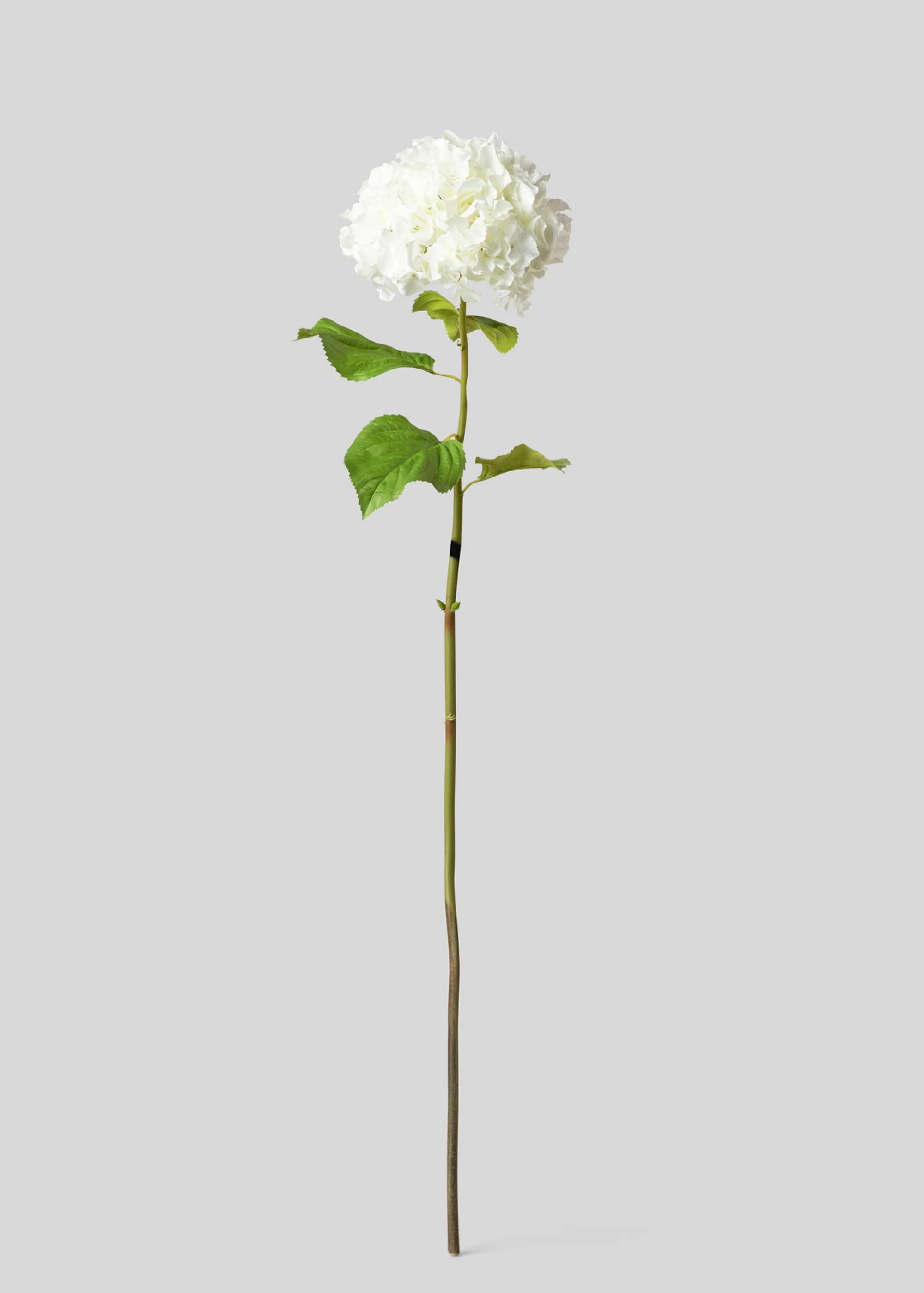 Tall Hydrangea Faux Flower in White - 45" | Afloral