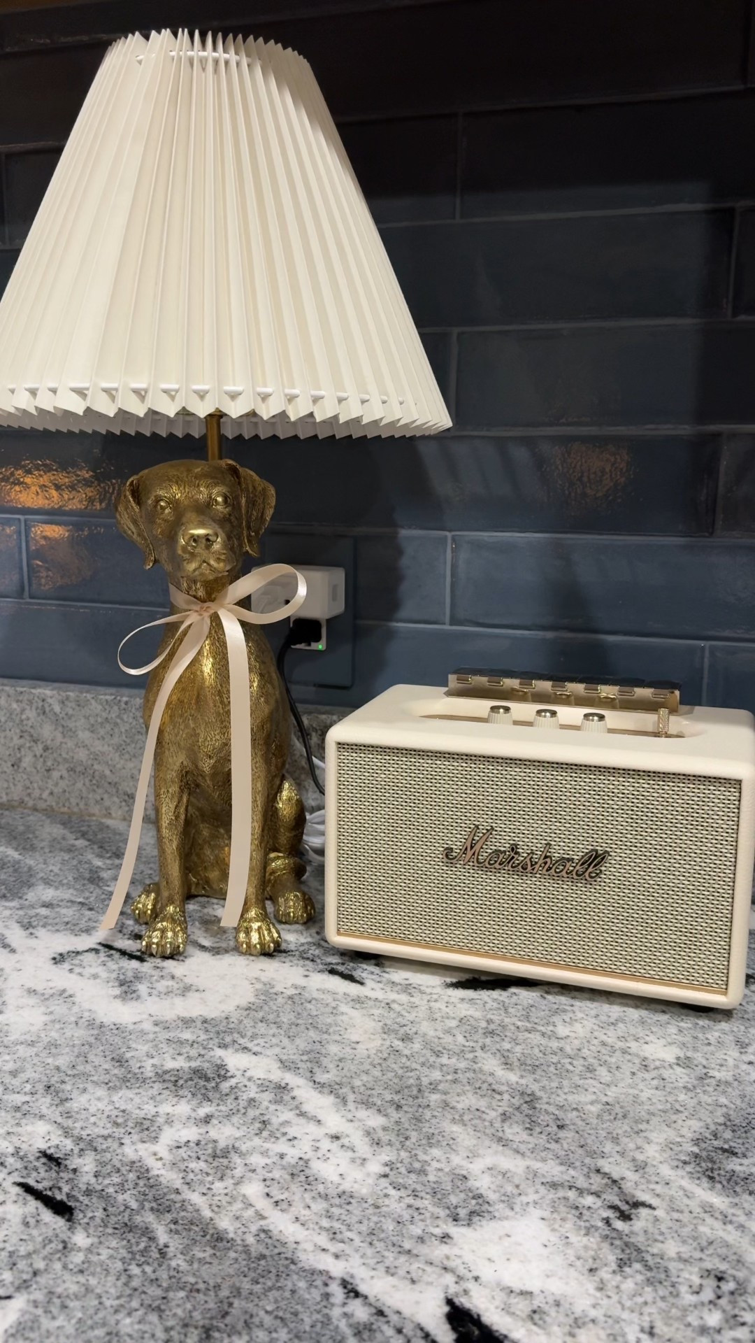 My favorite evening routine when my husband starts dinner. Dog lamp on and the speaker playing some country music 

#LTKHome #LTKdayinmylife #LTKmomlife