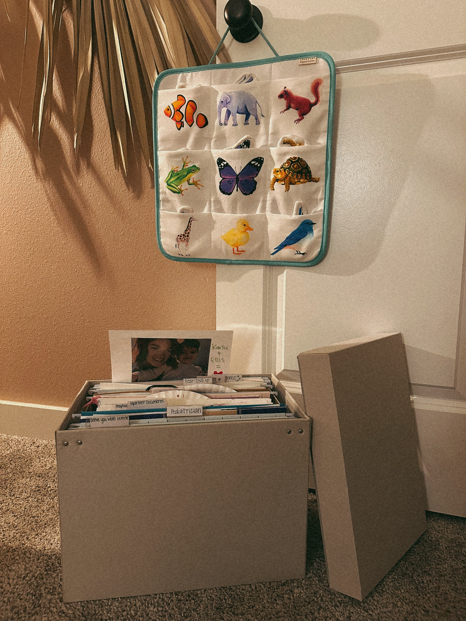 Having a storage box makes keeping up with important and special papers so much easier 💌

#LTKfindsunder50 #LTKbaby #LTKhome