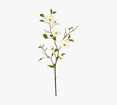 Faux Dogwood Branches - Set of 12 | Pottery Barn (US)