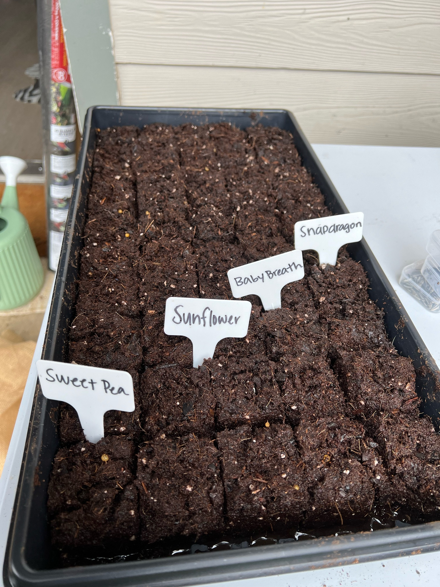 Gardening things 🧑‍🌾🪴

#LTKhome #LTKSpringSale #LTKSeasonal