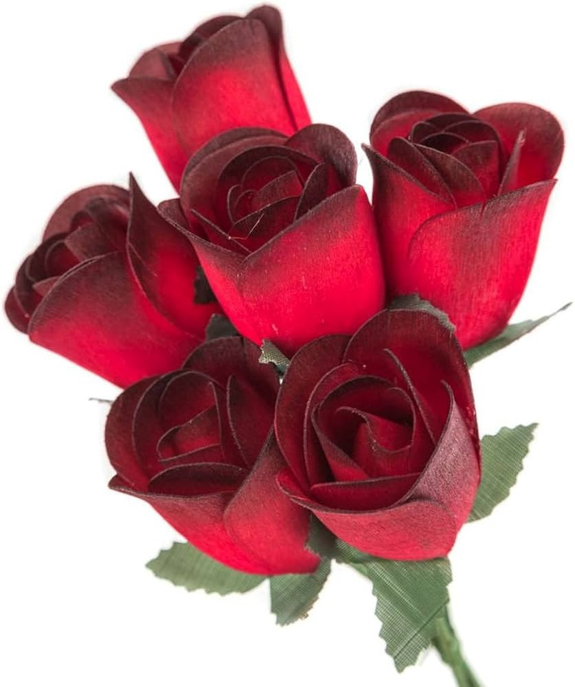 6 Red Roses with Black Tips Half Open Bud Wooden Roses for Crafts Custom Bouquets and Other Proje... | Amazon (US)