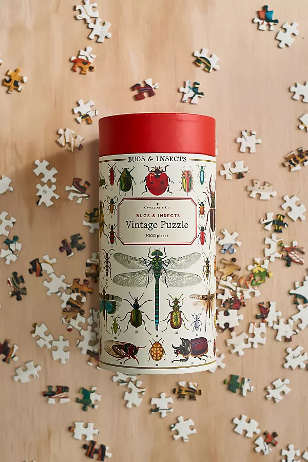 Insect Illustrations Puzzle | Anthropologie (US)