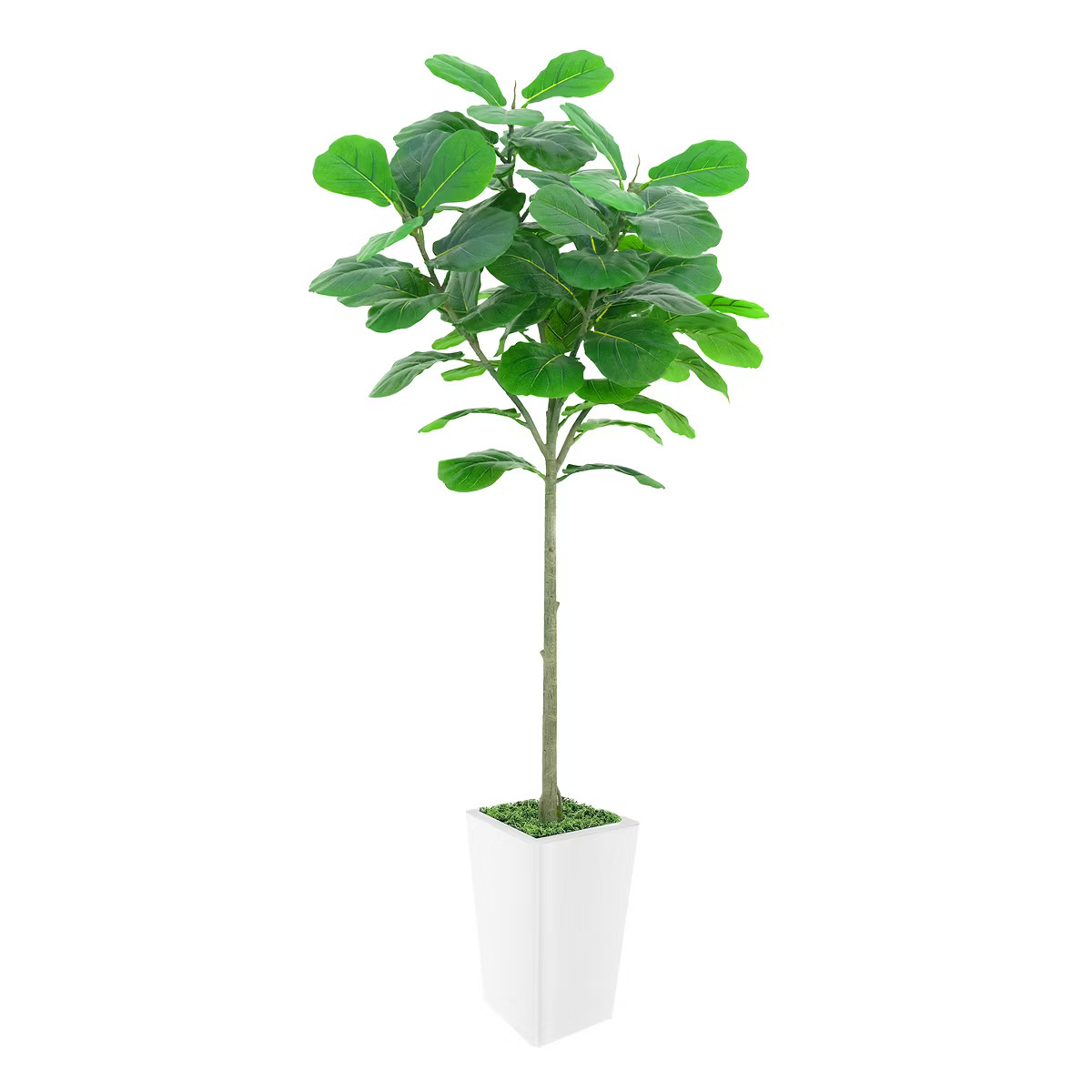Artificial Tree in Pot with Realistic Leaves & Natural Wood Trunk 5FT/6FT/7FT/8FT | Target