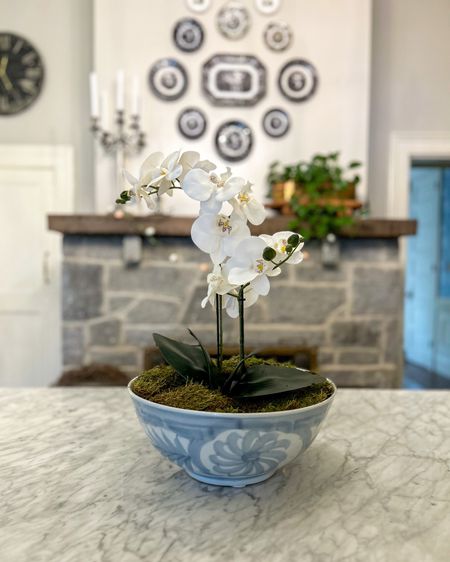 Orchid arrangement 
Hand painted bowl
Fruit bowl


#LTKSeasonal #LTKhome