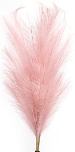 Pink Pampas Grass (43”) - 3 Pampas Grass Pink - Tall Pampas - Large Pink Pompous Grass - Dried Pink  | Amazon (US)