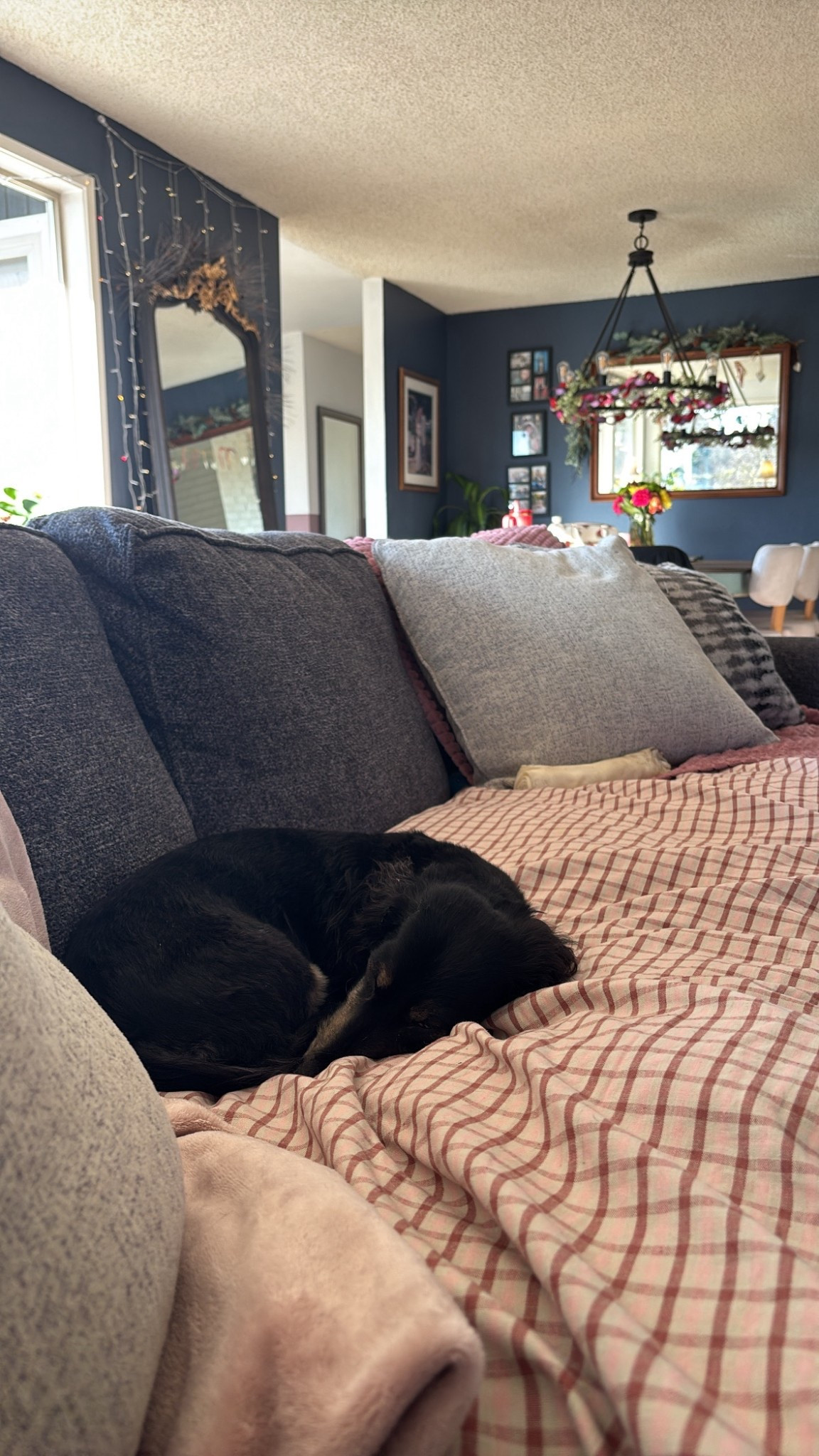 A duvet for your sofa. In beautiful prints with a knife-edge seam, this cotton pillow topper adds a soft, inviting layer to sink into. Protect your sofa in the most beautiful way! 

#LTKdayinmylife #LTKHome #LTKKids