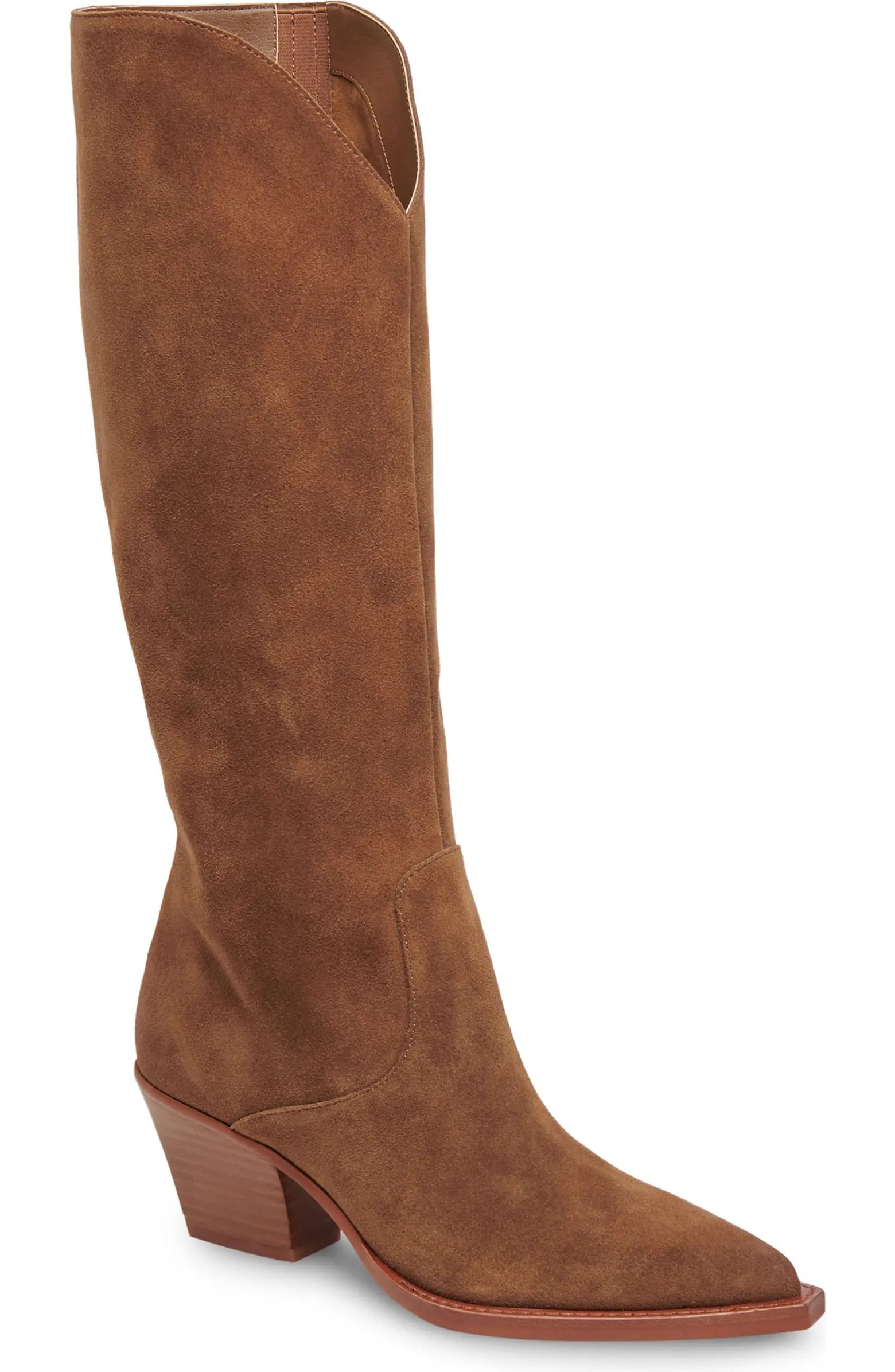 Raj Pointed Toe Knee High Boot (Women) | Nordstrom