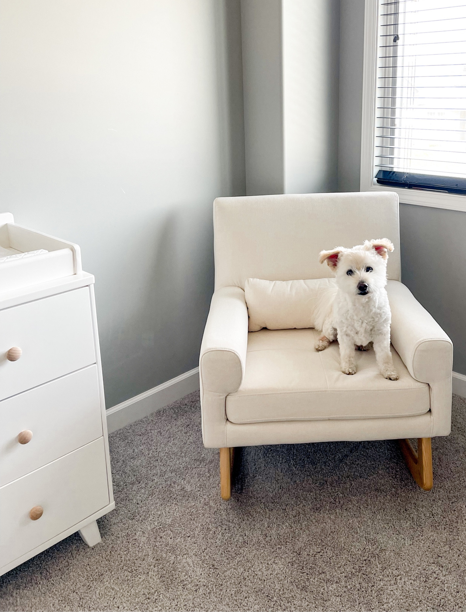 Cozy nursery corner. Love this rocking chair that comes in several colors. You can find it at Target & Amazon. Delta dresser with removable changing top is sturdy & well made. I switched out the drawer pulls to match the chair.

#LTKbaby #LTKfamily #LTKhome
