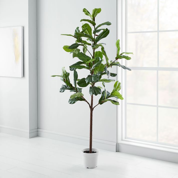 Faux Potted Fiddle Leaf Fig Tree - 7' | West Elm (US)