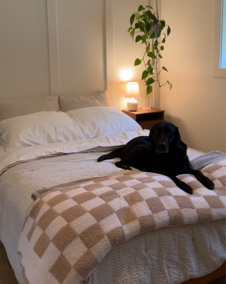 Cozy, aesthetic blanket we’ve been loving lately! 

#LTKHome #LTKPets #LTKU