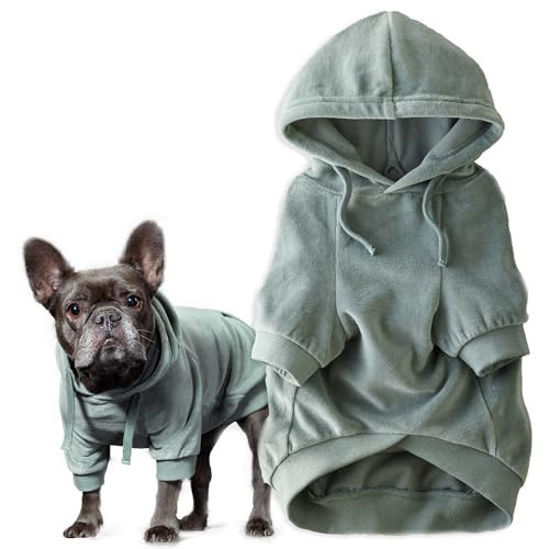 Pet Passion Cooper II Organic Cotton Velour Dog Hoodie Pet Coat for Small, Medium and Large Dogs, Sage, Large (40-60 lbs) | Amazon (US)