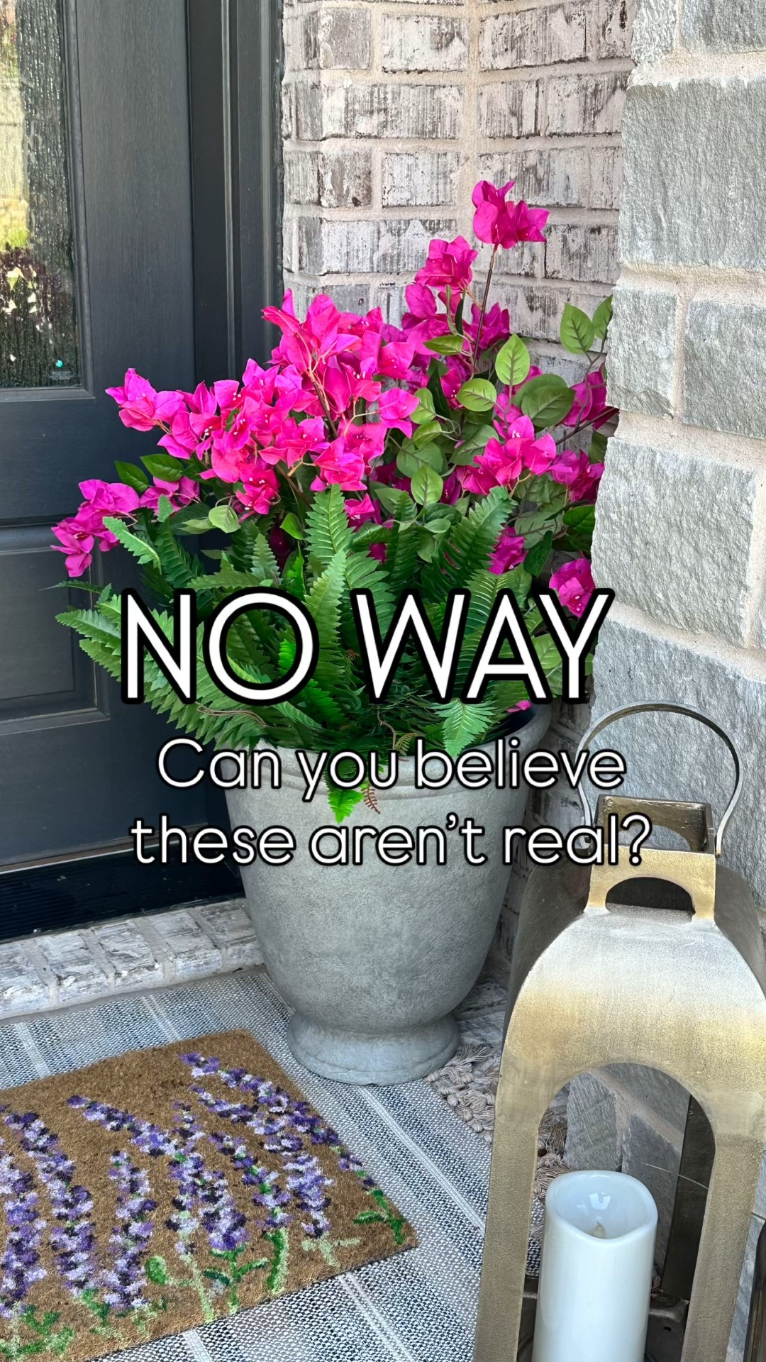 I can’t believe these aren’t real! It’s still summer for at least another six weeks and I was due for a little porch refresh! These faux plants are so real looking I can hardly believe they’re not! 

#LTKSeasonal #LTKHome #LTKStyleTip