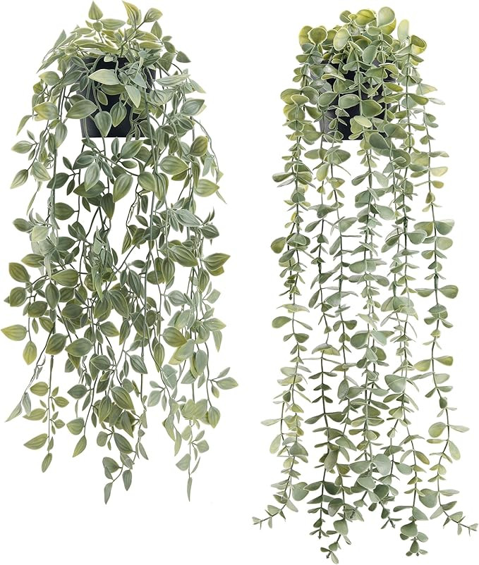 Der Rose 2Pcs Fake Plants Hanging Artificial Decor Faux Potted Eucalyptus and Pea Pod Plants for ... | Amazon (US)