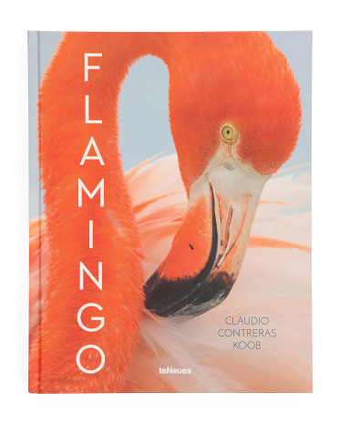 Flamingo Book | TJ Maxx