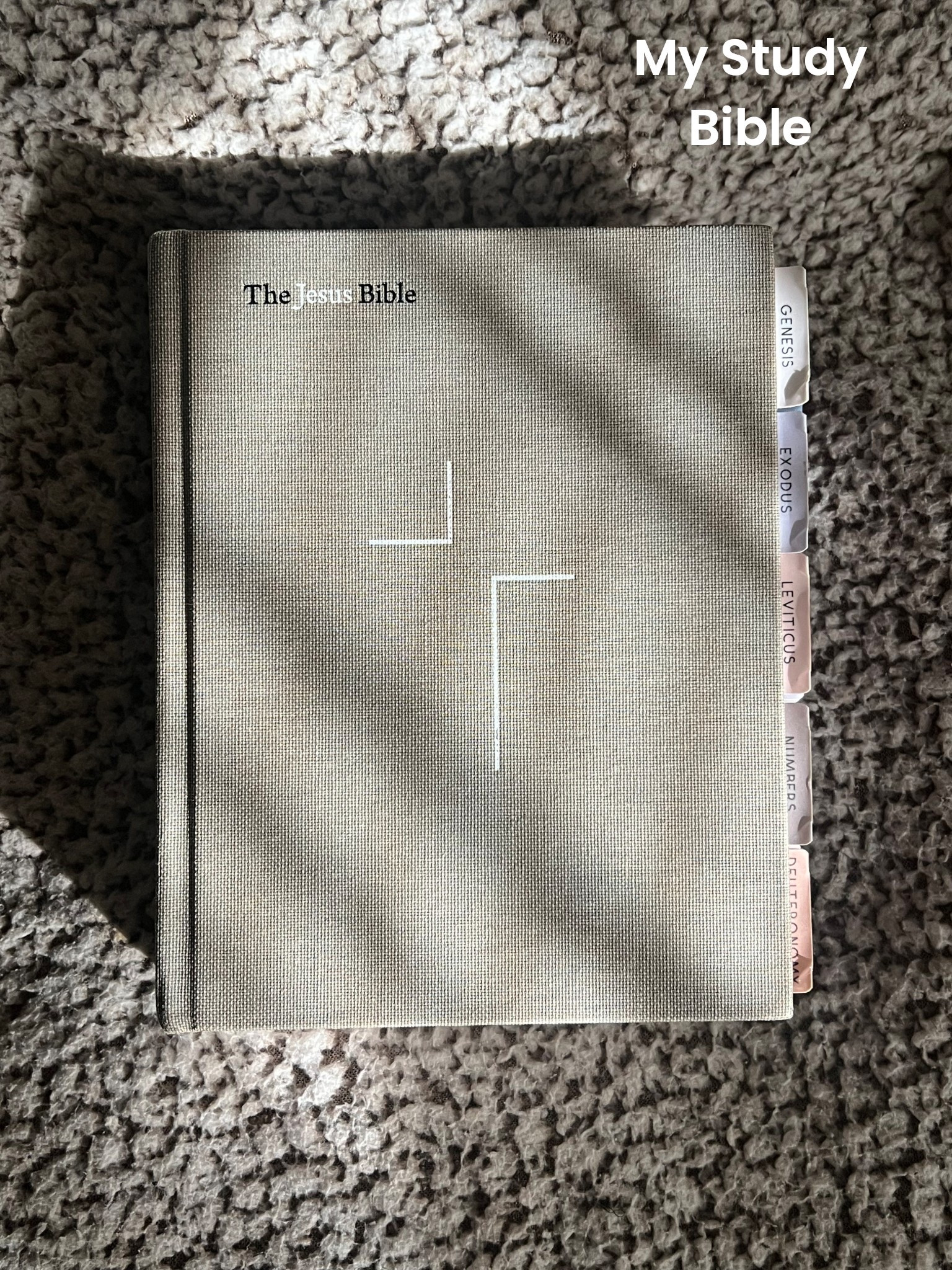 My study Bible 🥹🫶🏽