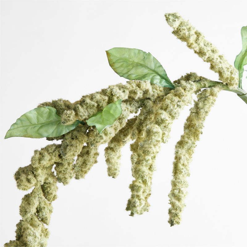 Dusty Green Amaranthus Faux Stem | Crate and Barrel | Crate & Barrel
