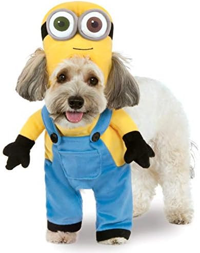 Rubies Minion Bob Arms Pet Suit,Small | Amazon (US)