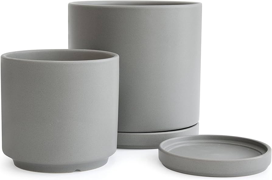 D'vine Dev 6 Inch & 8 Inch Ceramic Planter Pots for Plants with Drainage Hole and Saucer, Medium ... | Amazon (US)