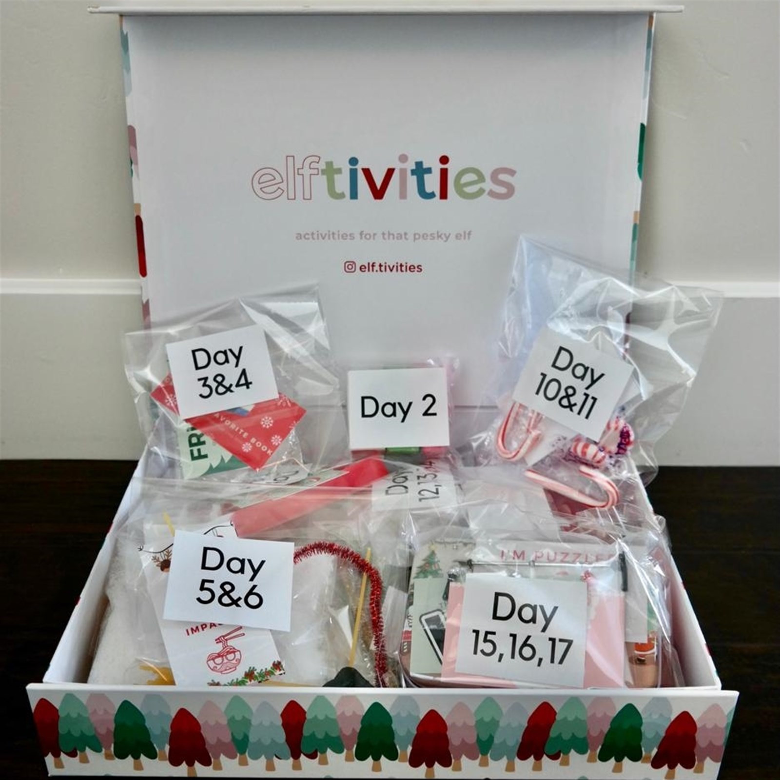 24 Day Elftivities Box | Jane