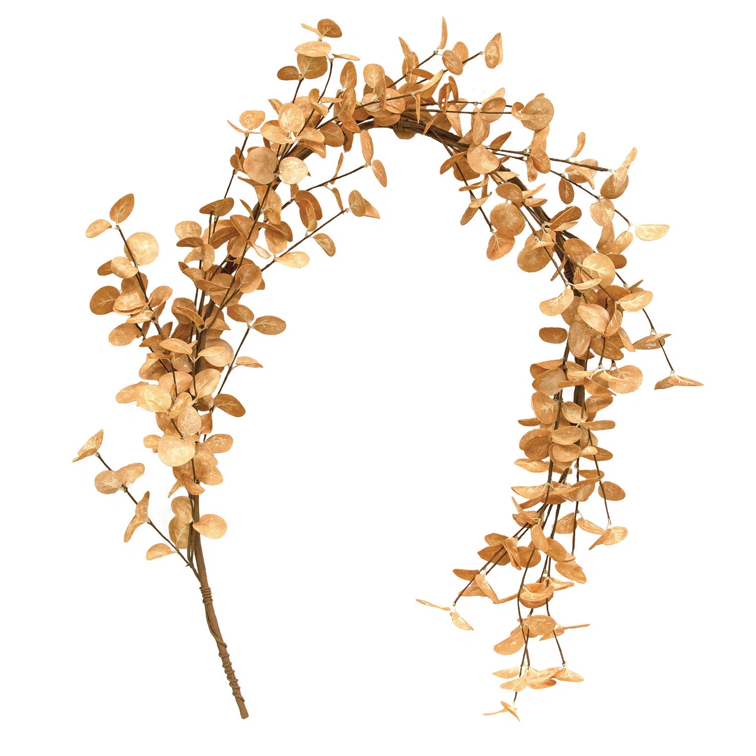CWI Gifts Beige Silver Dollar Garland | Wayfair | Wayfair North America