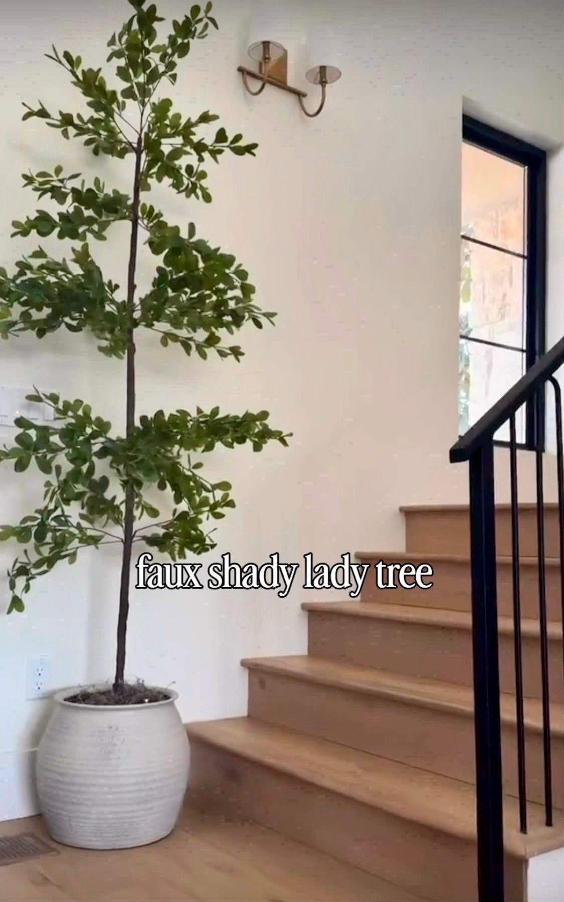 I’m linking the faux shady lady tree that instantly makes an empty corner feel finished. The natural shape, airy branches, and soft green tones give it a realistic look that works beautifully in entryways, living rooms, and stair landings.

I love using oversized faux trees to add height and warmth without the maintenance. Paired with a simple planter, it creates that collected, designer-inspired feel that makes a space look complete.
@Wayfair 
@lowes

#LTKHome #LTKU #LTKSaleAlert