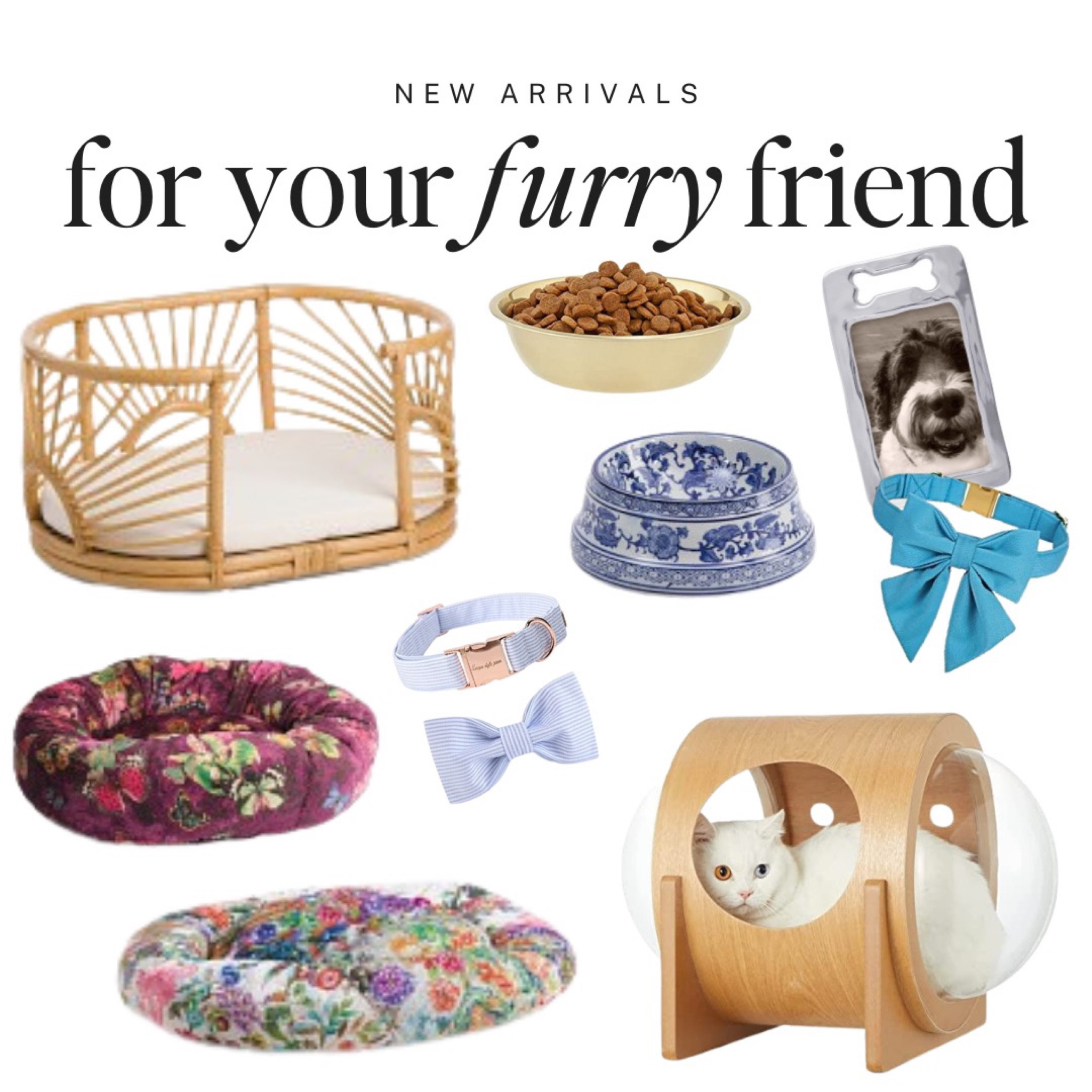Fun finds for your pet. 

Always looking for something practical that actually looks good? I got you. 

Shop these beauties from and uplevel your furry friend. 

Dog lover? Cat lover? There's no reason everything in your home can't fit your aesthetic.

pet decor, dog bowl, dog leash, cat decor, home decor, coastal finds, chinoiserie, blue and white, neiman marcus, nordstrom, belk, modern, bold, pop of color, anthro, anthropologie, home goods, marshalls, bloomingdales, serena lily, tabletop, table setting, set the table, summer decor, entertaining inspo, weekend sale, studio mcgee x target new arrivals, coming soon, new collection, fall collection, spring decor, console table, bedroom furniture, dining chair, counter stools, end table, side table, nightstands, framed art, art, wall decor, rugs, area rugs, target finds, target deal days, outdoor decor, patio, porch decor, sale alert, pool decor, tj maxx, pillows, throw pillow, outdoor entertaining, patio inspo, outdoor furniture, coastal grandmother, amazon home, world market, ballard designs, opalhouse, wayfair finds, high end look for less, studio mcgee, target home, boho, modern coastal, grandmillenial, hearth and hand. Pb, pottery barn, crate and barrel, cane furniture, rattan, wicker#LTKGiftGuide







#LTKfindsunder50 #LTKfindsunder100 #LTKhome