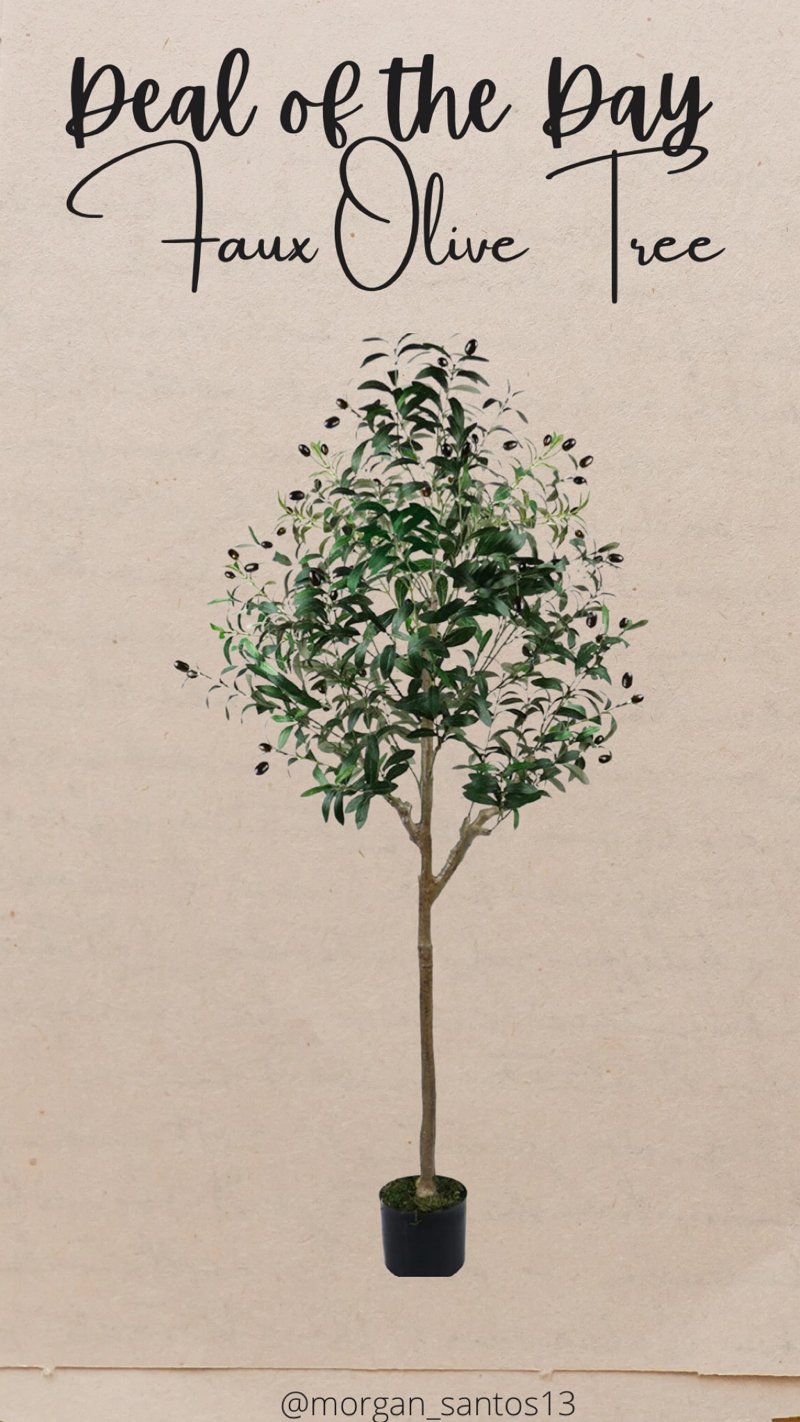 Faux Olive Tree

#LTKunder100 #LTKhome #LTKsalealert