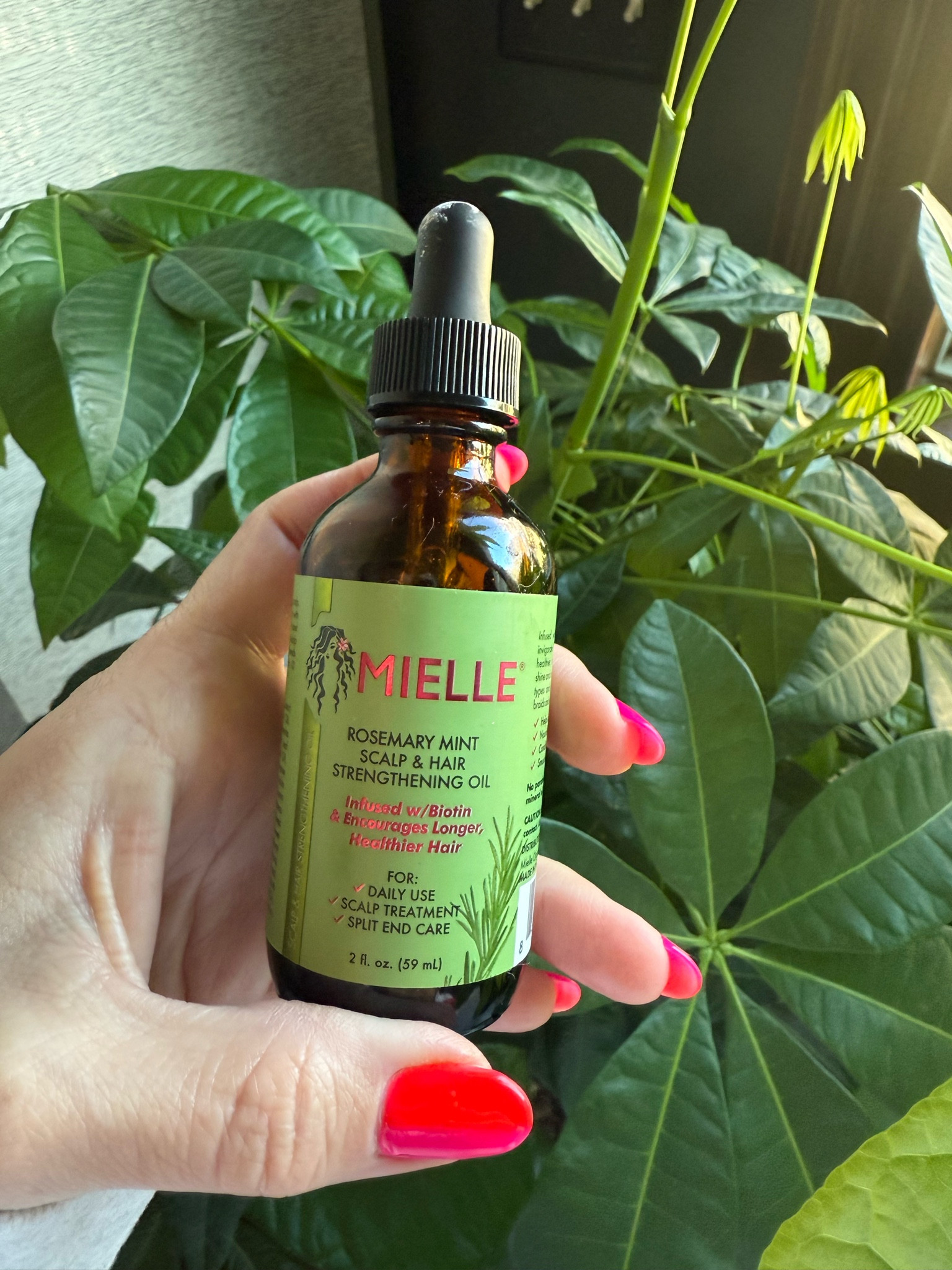 #LTKSeasonal #LTKBeauty #LTKOver40