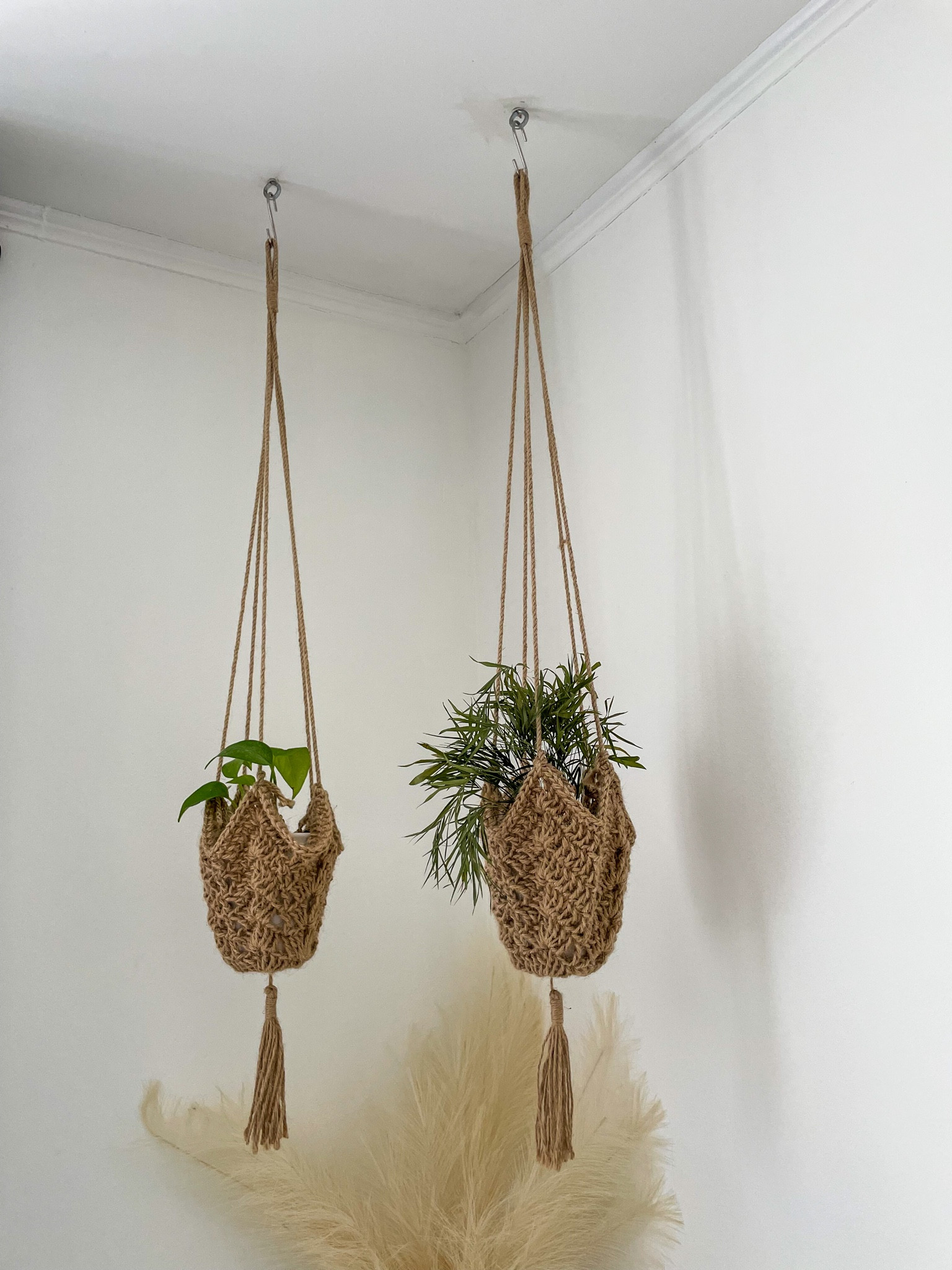 One of my favorite corners of the house, my plants do so well here and YES, these are real plants. #amazonhome #founditonamazon

#LTKhome